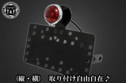 サイドナンバーKIT & サンレイズテールランプ(メッキリング)　各車種専用取り付けステー付き