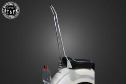 ドラッグスター1100クラシック　純正フェンダー専用シーシーバーロング(メッキ)