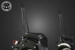 ドラッグスター250　純正フェンダー専用シーシーバーロング(ブラック)