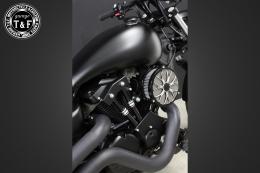 ドラッグスター250　ラグジュアリーフラワー(コントラスト)&プッシュロッドカバー(コントラスト)SET