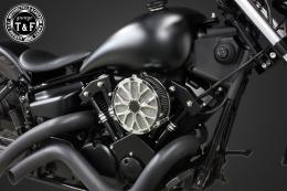 ドラッグスター250　ラグジュアリーフラワー(メッキ)&プッシュロッドカバー(コントラスト)SET