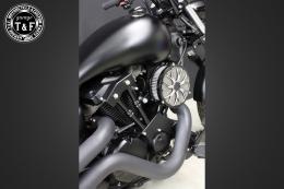 ドラッグスター250　ラグジュアリーフラワー(コントラスト)&プッシュロッドカバー(ブラック)SET