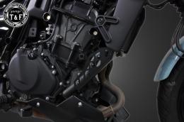 エリミネーター400　ラジエーターホースガード