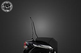 エリミネーター250V　純正フェンダー専用シーシーバーショート(ブラック)