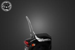 エリミネーター250V　純正フェンダー専用シーシーバーショート(メッキ)